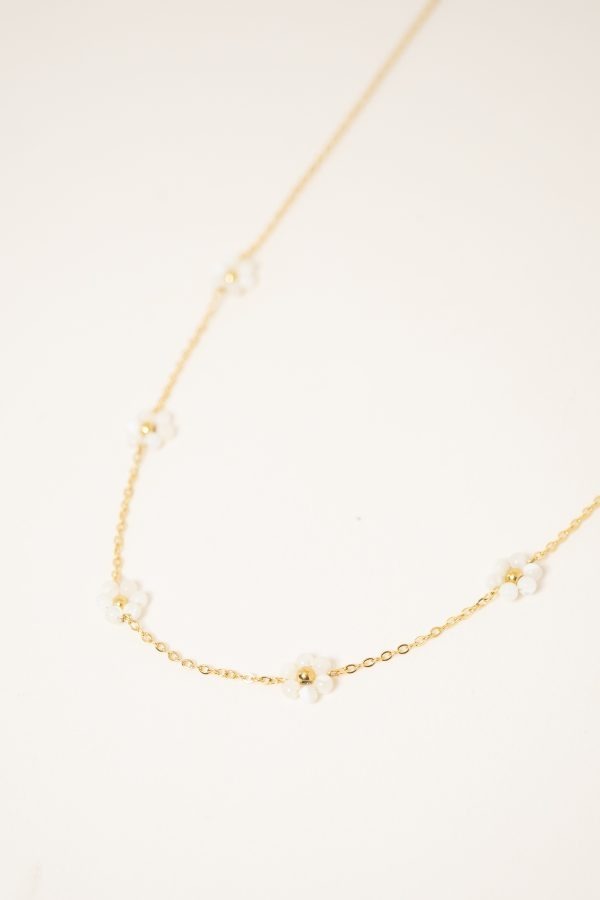 collier-prairie-blanc-acier-inoxydable