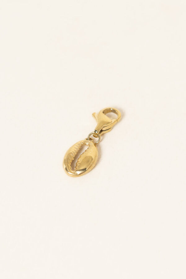 charm-cauri-acier-inoxydable