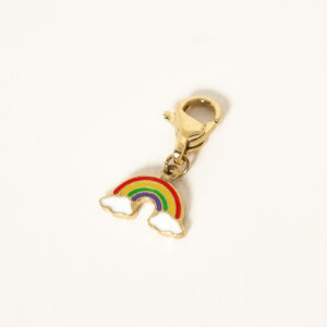 charm-rainbow-acier-inoxydable