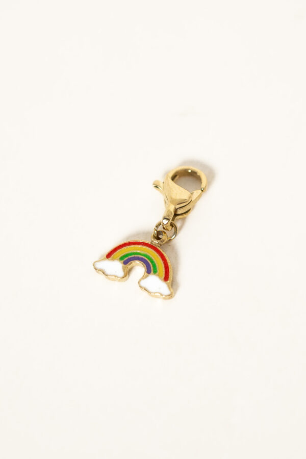 charm-rainbow-acier-inoxydable