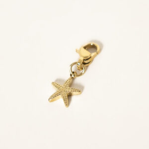 charm-starfish-acier-inoxydable