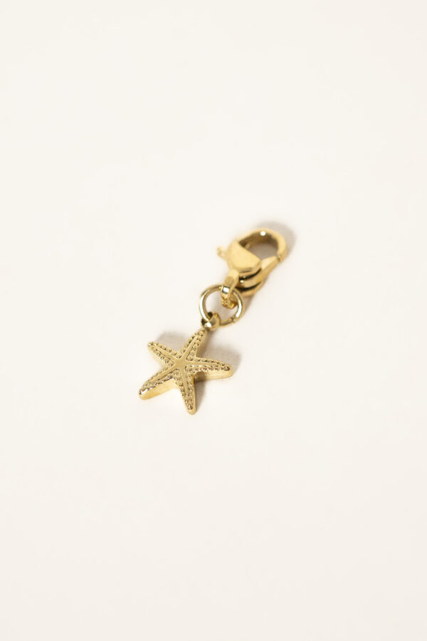 charm-starfish-acier-inoxydable