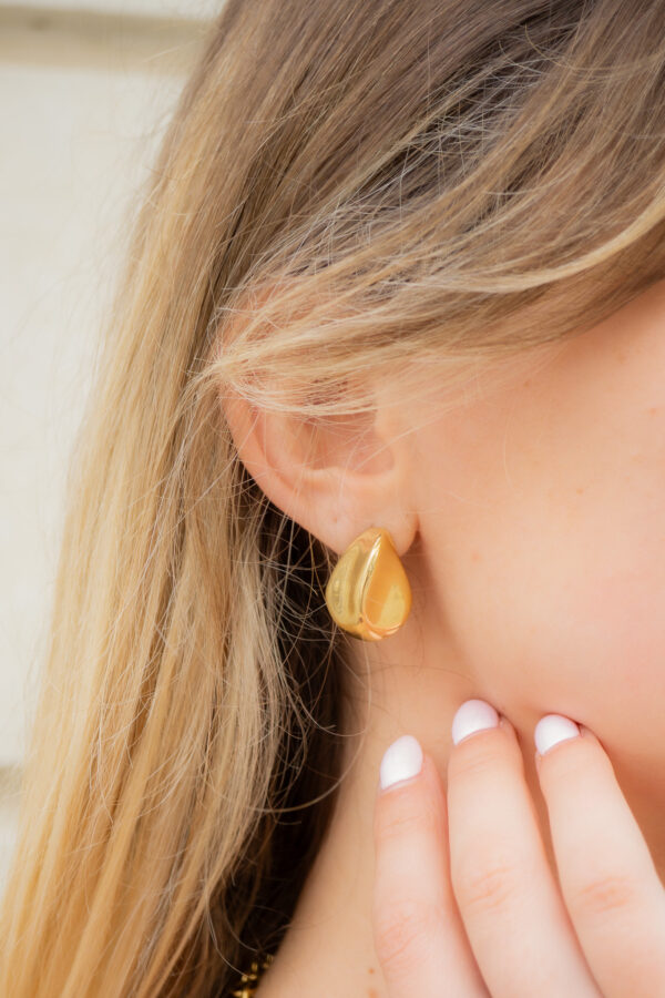 boucles-oreilles-dorees-acier-inoxydable-lys