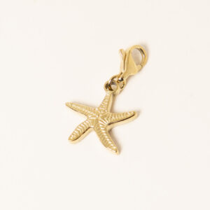 charm-acier-inoxydable-starfish-n2