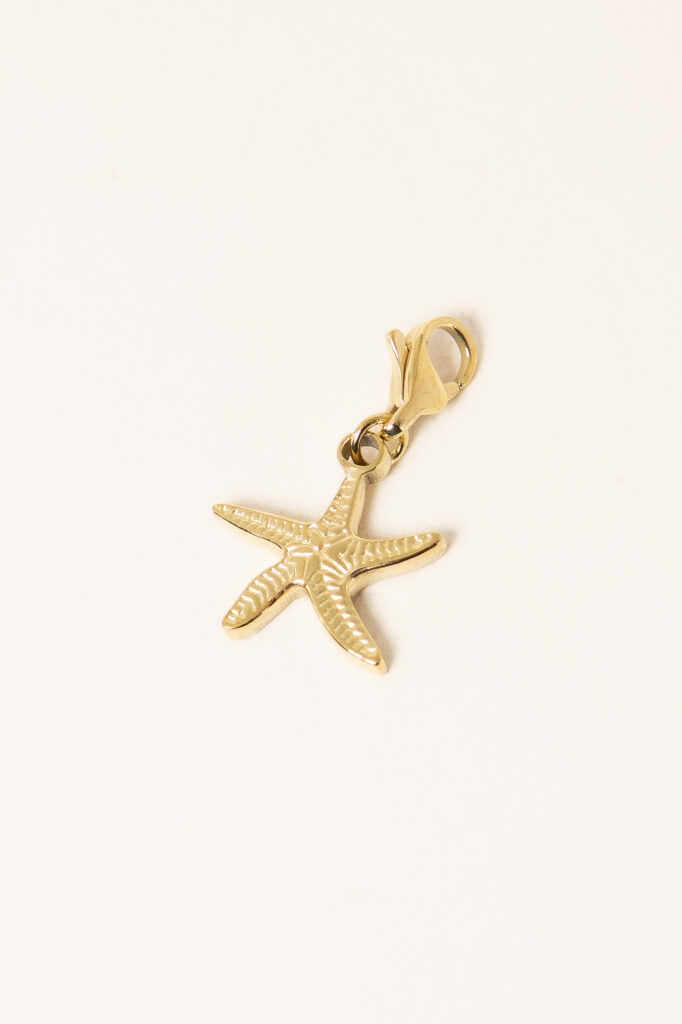 charm-acier-inoxydable-starfish-n2