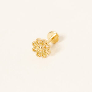 piercing-48-plaque-or
