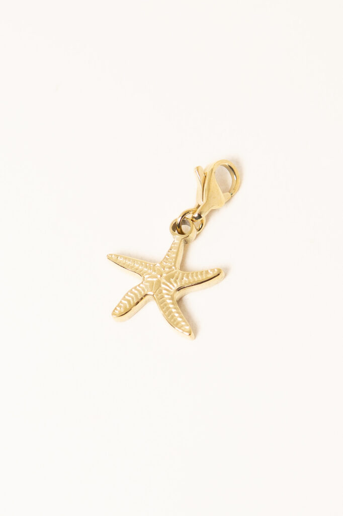 charm-acier-inoxydable-starfish-n2