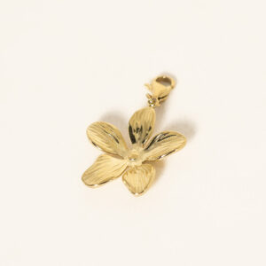 charm-vaea-acier-inoxydable