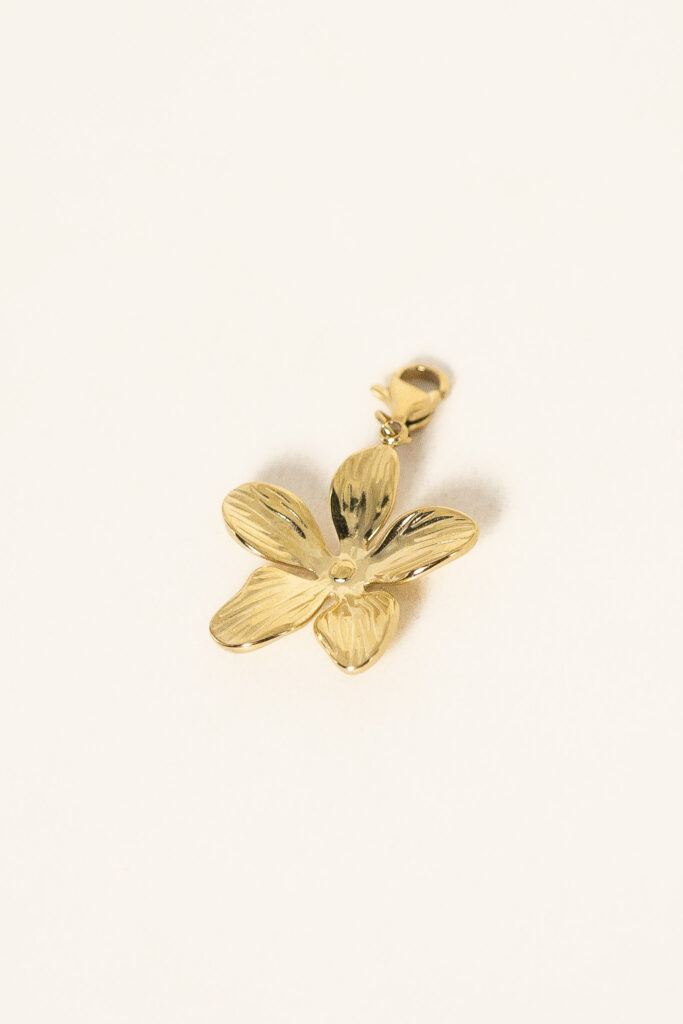 charm-vaea-acier-inoxydable