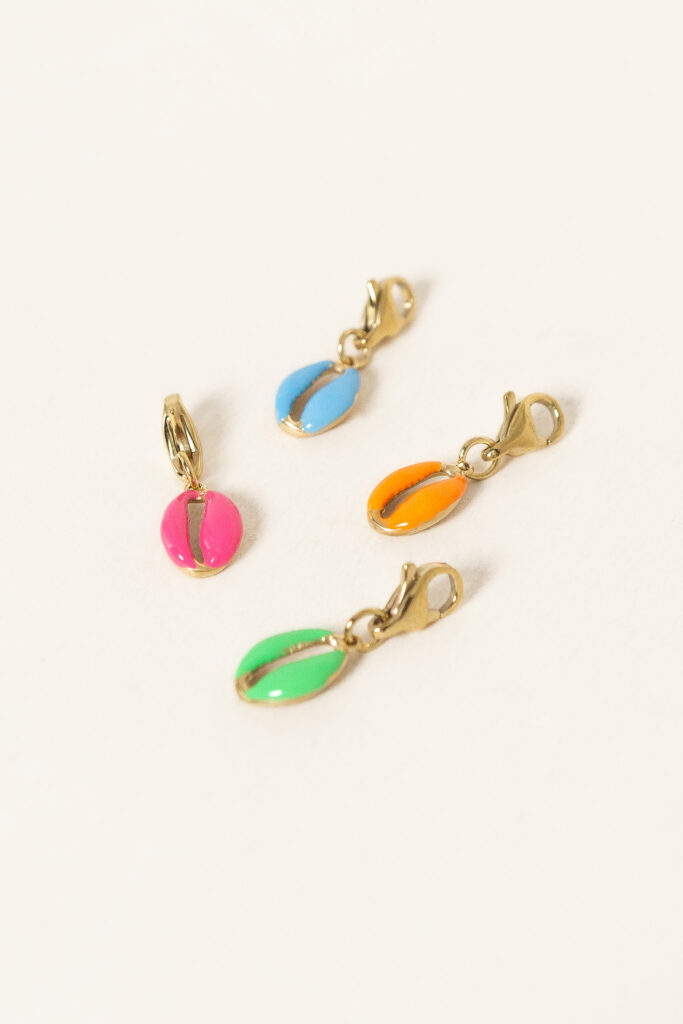charm-cauri-colore-acier-inoxydable