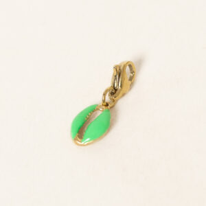 charm-cauri-colore-acier-inoxydable