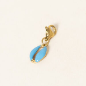 charm-cauri-colore-acier-inoxydable