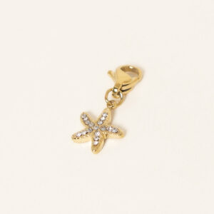 charm-starfish-acier-inoxydable