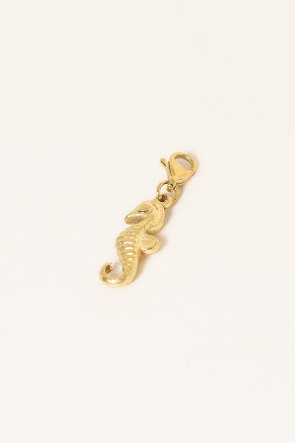 charm-hippocampe-acier-inoxydable