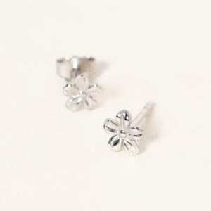 puce-gardenia-argent-massif