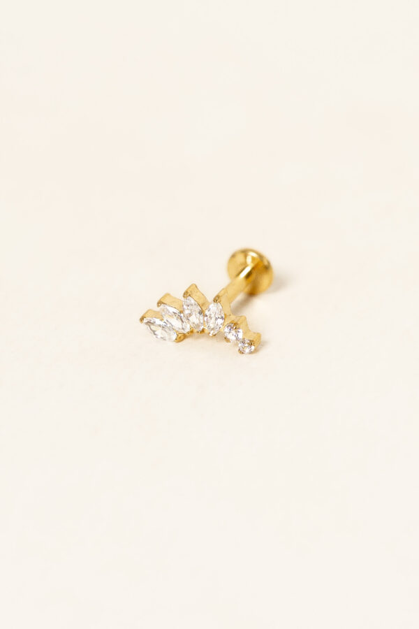 piercing-58-titane