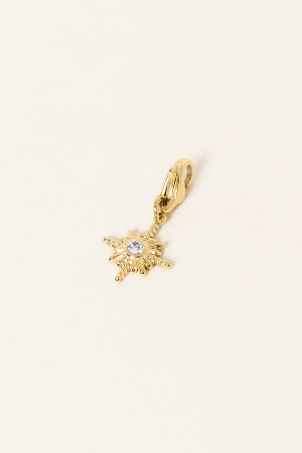 charm-shinny-2-acier-inoxydable