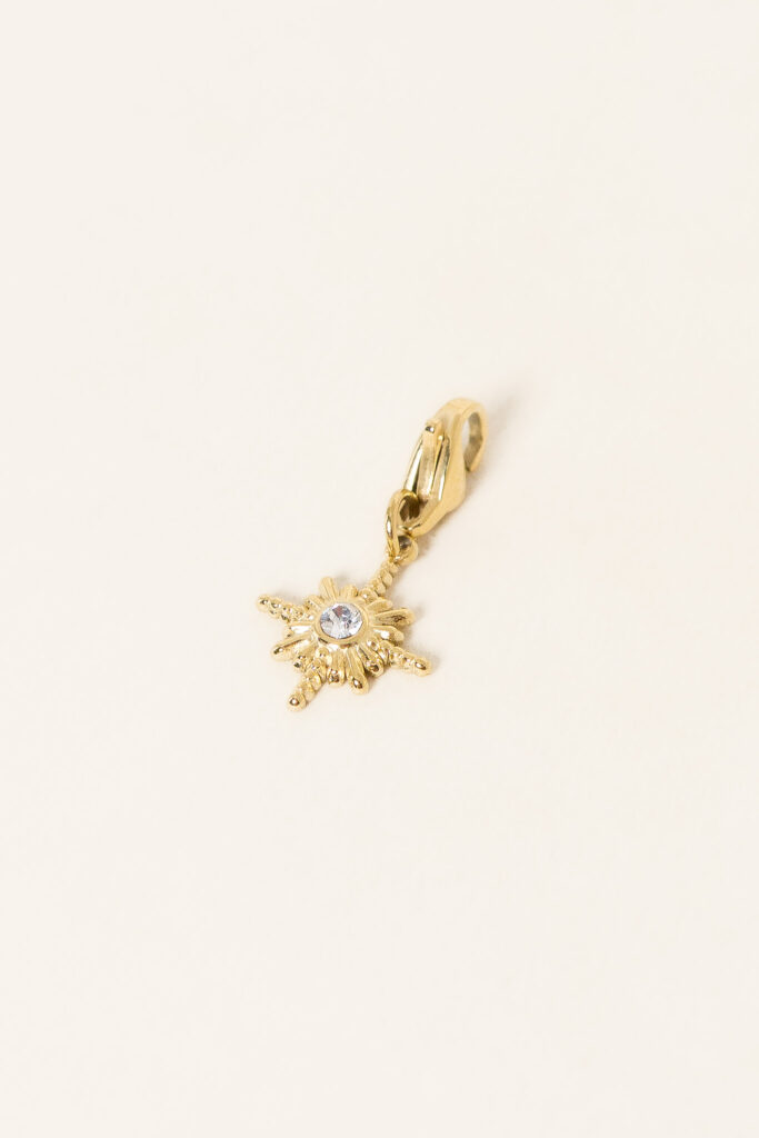 charm-shinny-2-acier-inoxydable